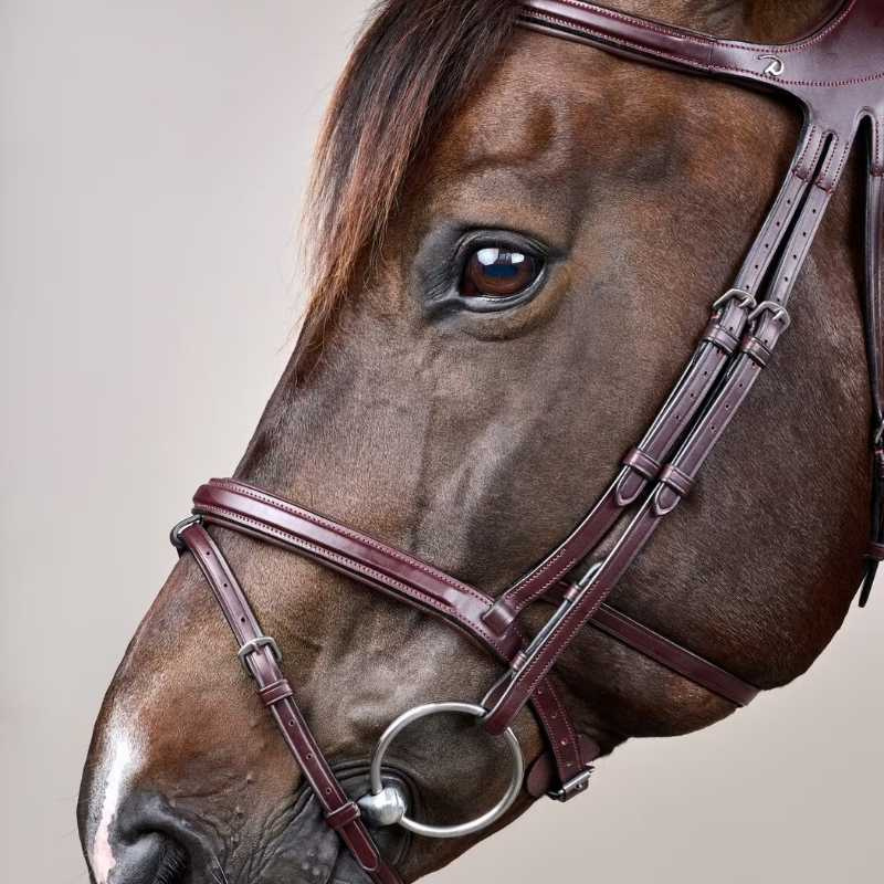 Bridle Difference New English Collection Brown