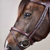 Bridle Difference New English Collection Brown Bridle Difference New English Collection Brown