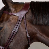 Bridle Difference New English Collection Brown Bridle Difference New English Collection Brown