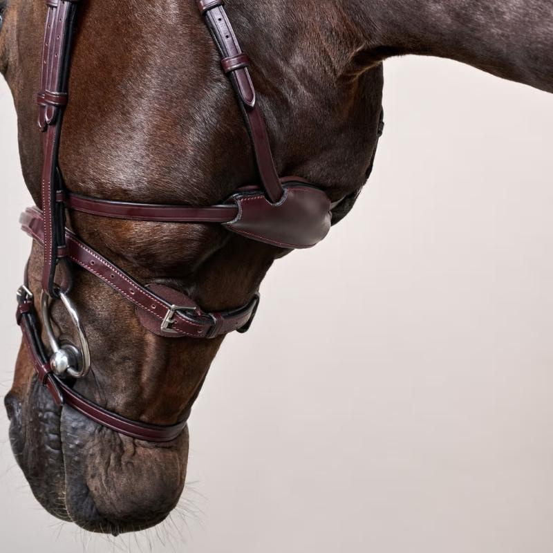 Bridle Difference New English Collection Brown