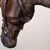 Bridle Difference New English Collection Brown Bridle Difference New English Collection Brown