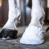 Hoof & Veterinary Tape White Hoof & Veterinary Tape White