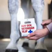 Hoof & Veterinary Tape White Hoof & Veterinary Tape White