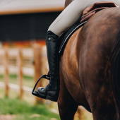 Half Chaps Classic Comfort Black Half Chaps Classic Comfort Black