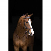Rambo Micklem Competition Bridle Black