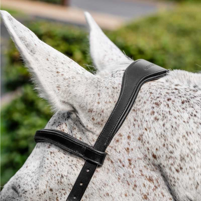 Bridle Micklem Competition Black