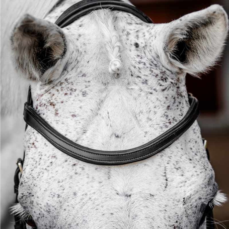 Bridle Micklem Competition Black