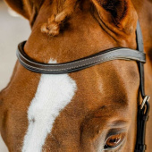 Bridle Micklem Competition Dark Brown Bridle Micklem Competition Dark Brown