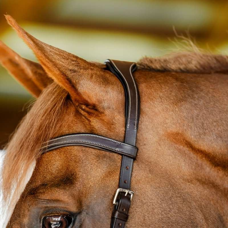 Bridle Micklem Competition Dark Brown