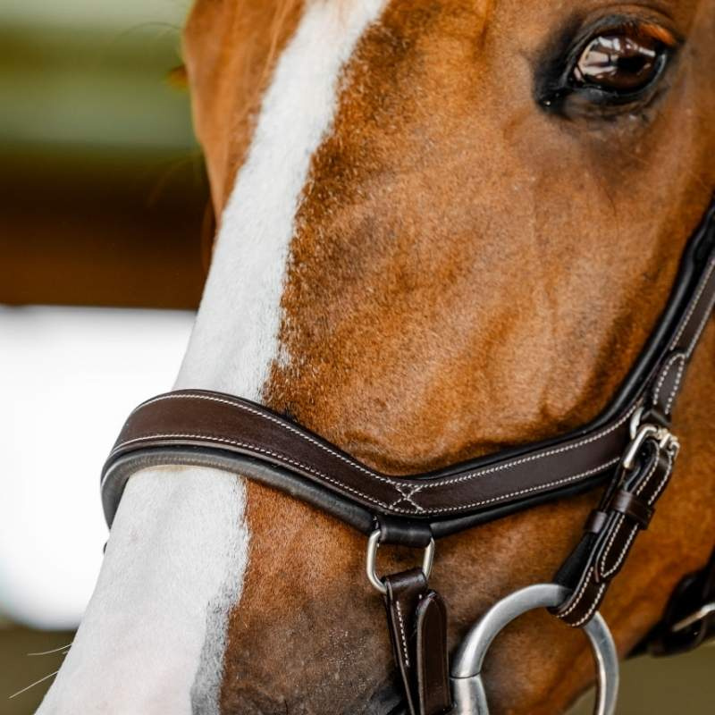 Bridle Micklem Competition Dark Brown