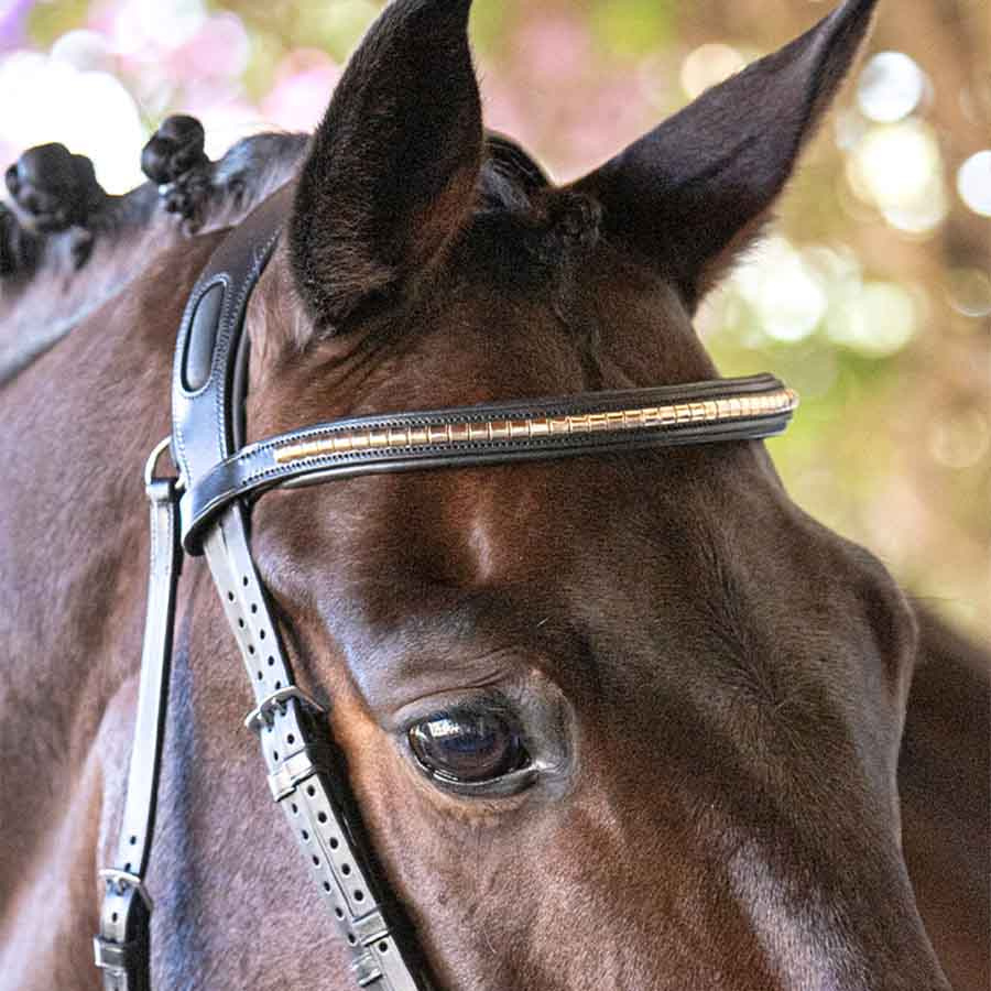 Browband Klinker Black/Gold
