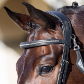 Browband Klinker Black/Silver Browband Klinker Black/Silver