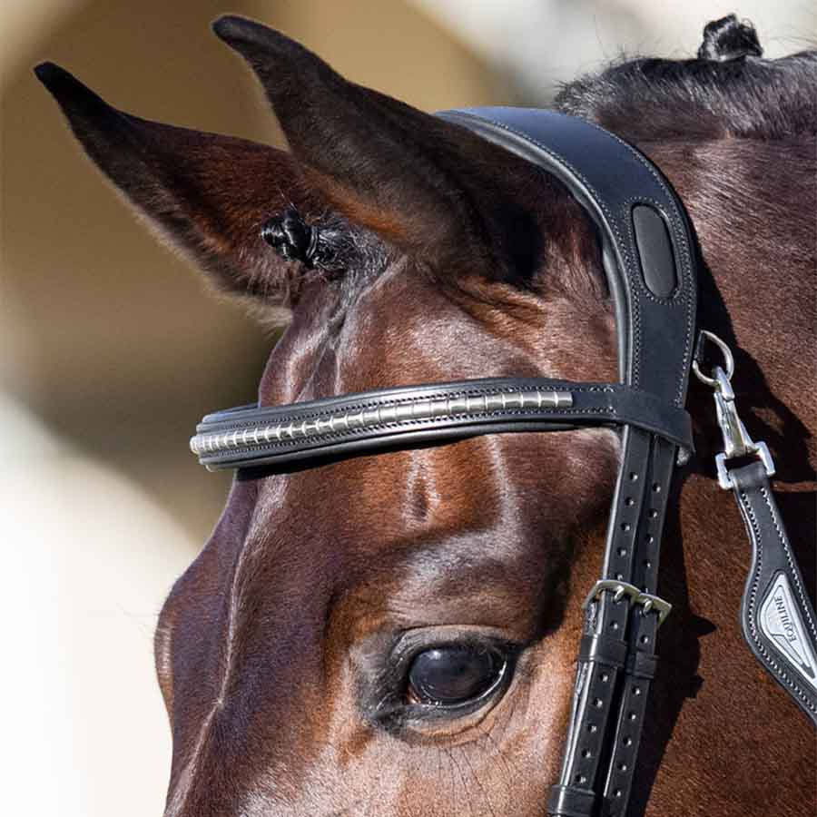 Browband Klinker Black/Silver