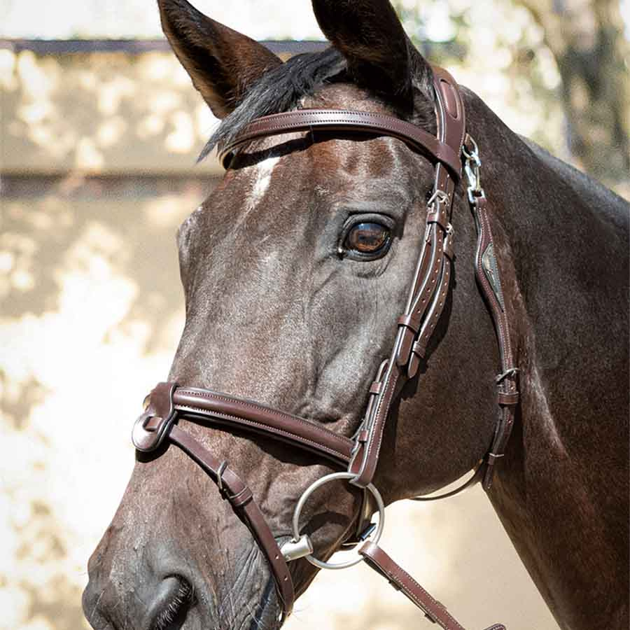 Ready To Ride Bridle Brown