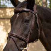 Ready To Ride Bridle with Decorative Stitching Brown Ready To Ride Bridle with Decorative Stitching Brown