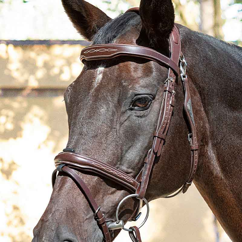 Ready To Ride Bridle with Decorative Stitching Brown
