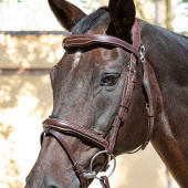 Ready To Ride Bridle with Decorative Stitching Brown Ready To Ride Bridle with Decorative Stitching Brown