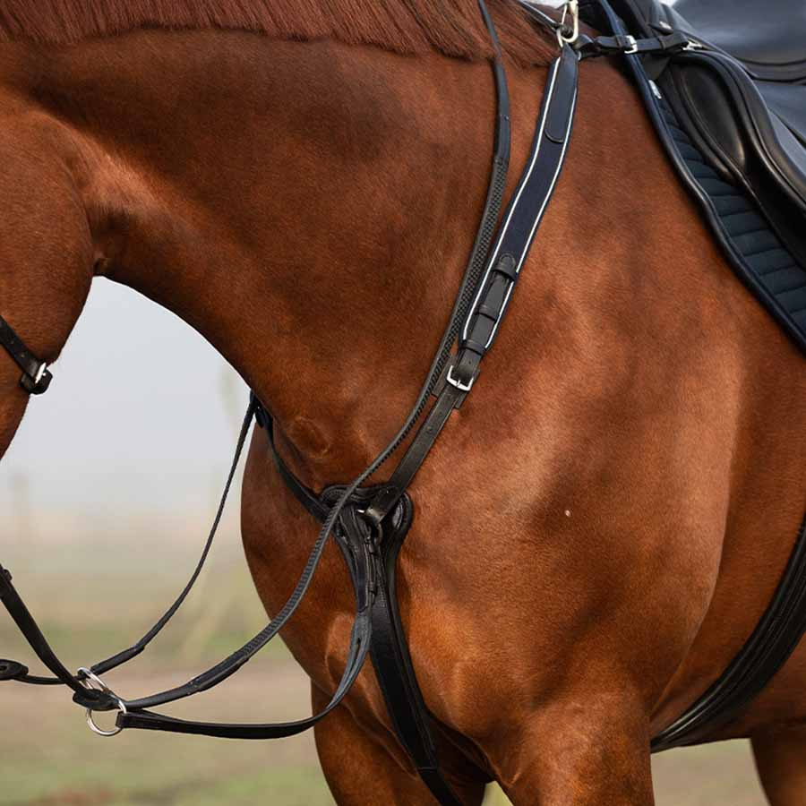 Rambo Micklem Martingale Black