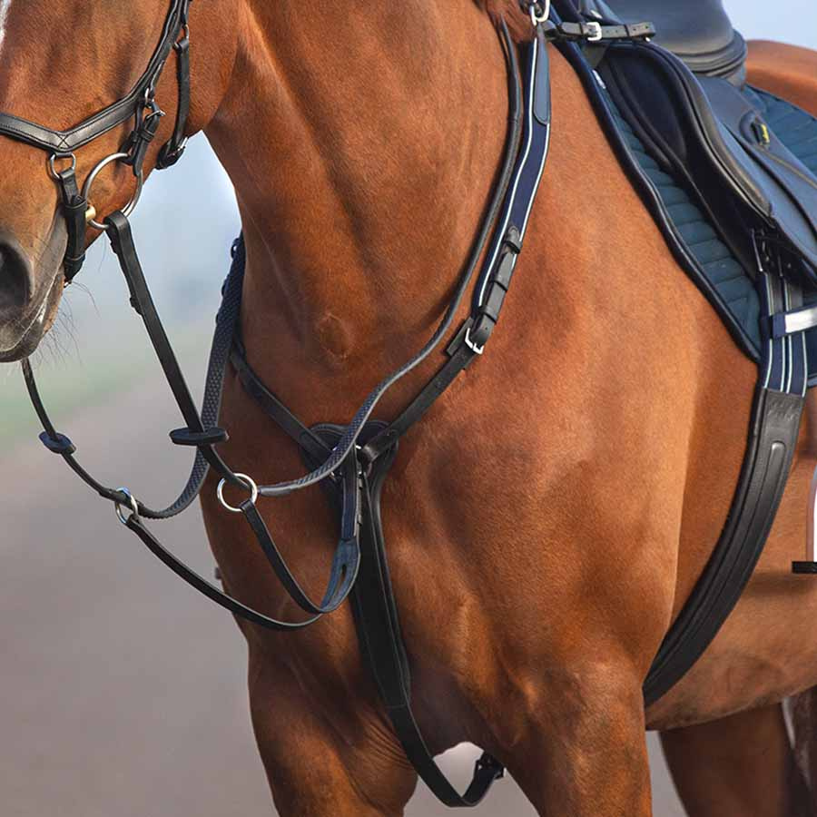 Rambo Micklem Martingale Black