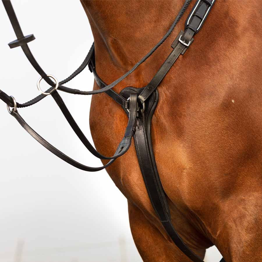 Rambo Micklem Martingale Black