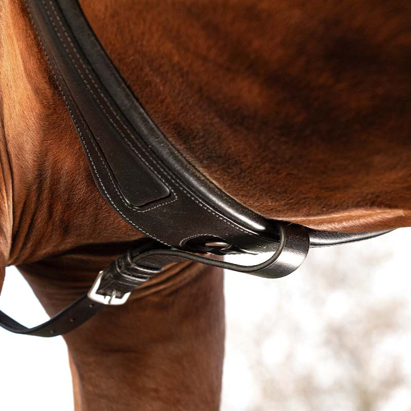 Rambo Micklem Martingale Black