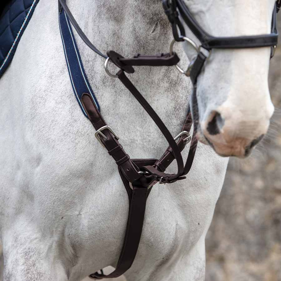 Rambo Micklem Martingale Brown