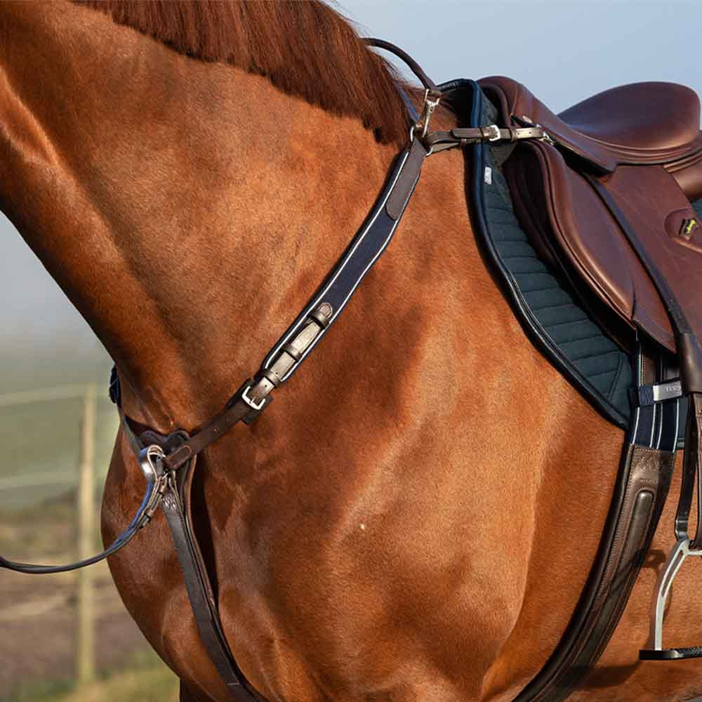 Rambo Micklem Martingale Brown