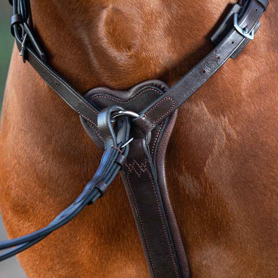 Rambo Micklem Martingale Brown