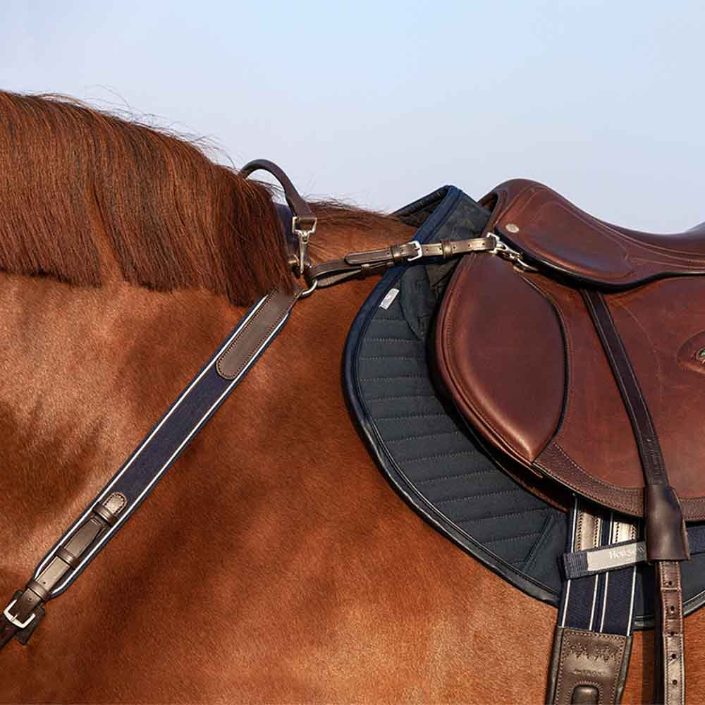 Rambo Micklem Martingale Brown