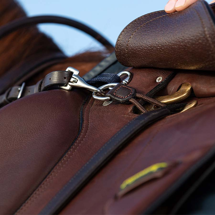 Rambo Micklem Martingale Brown