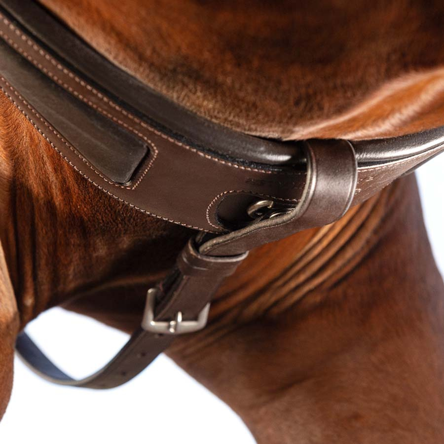 Rambo Micklem Martingale Brown