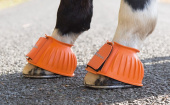 Fleece Rubber Boots Orange