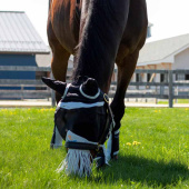Fly Boots 4-pack White Fly Boots 4-pack White