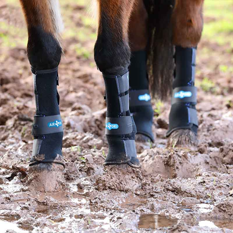 Mud Guards ARMA Deluxe