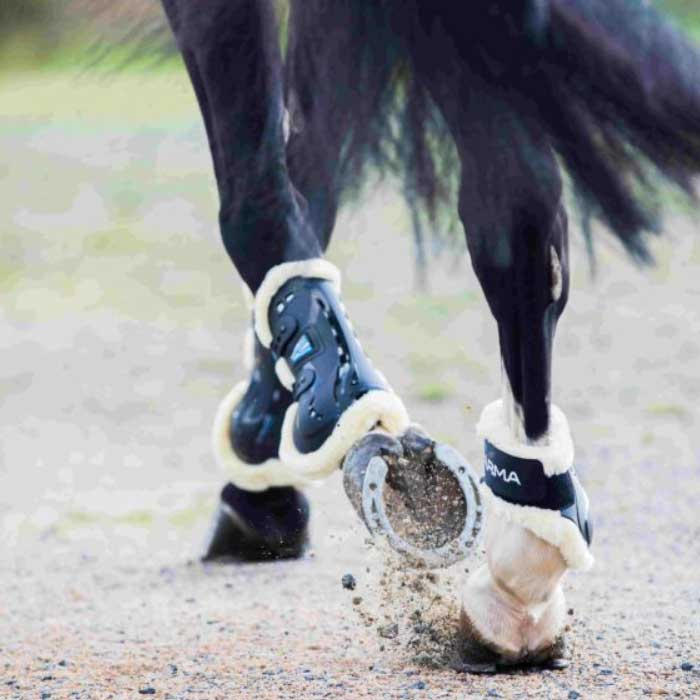 Carbon Fleece Tendon Tendon Boots Black