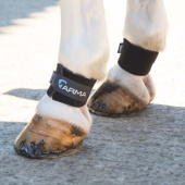 Fetlock Boots Black Fetlock Boots Black