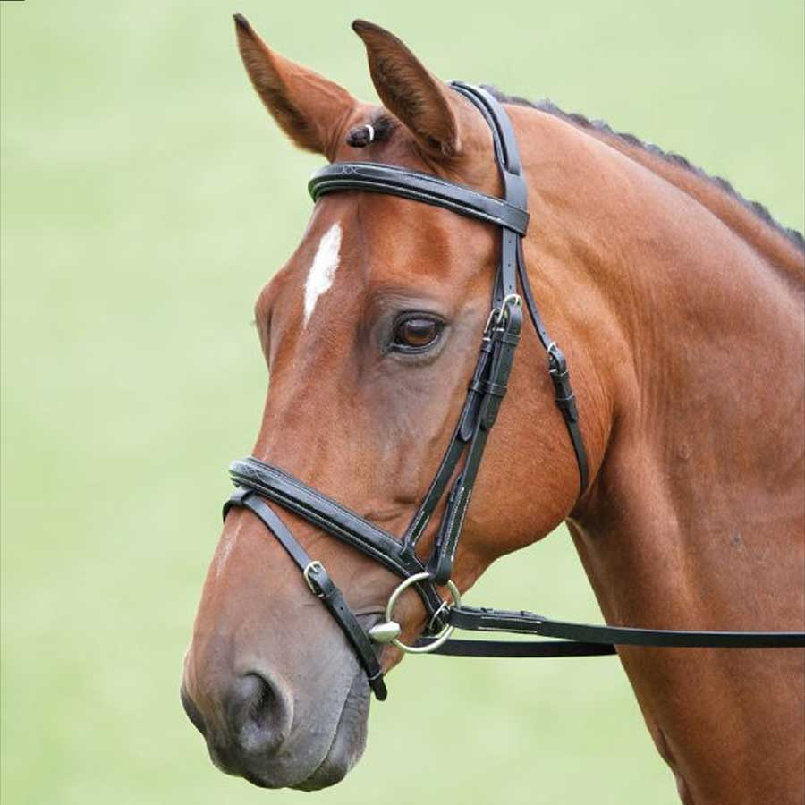 Bridle + Reins Salisbury Bodenham Black