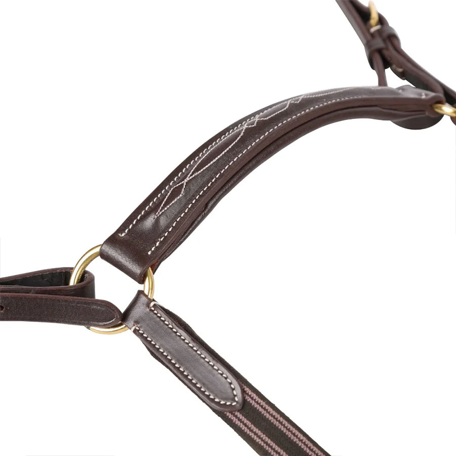 Breastplate Salisbury Brown