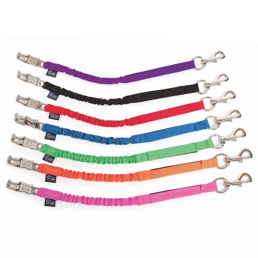 Stretch Transport Lead Rope Orange