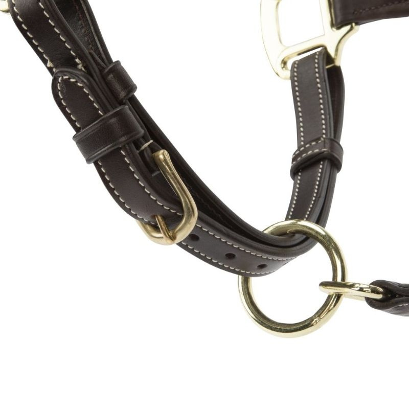 Leather Halter LUSSO Lorca Brown