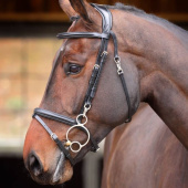 Bridle Quick Release Rapida Black Bridle Quick Release Rapida Black