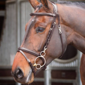 Bridle Quick Release Rapida Brown Bridle Quick Release Rapida Brown