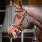 Bridle Quick Release Rapida Brown Bridle Quick Release Rapida Brown