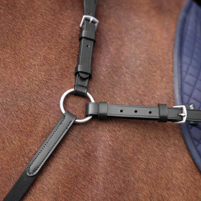 Breastplate with Martingale Rapida Black