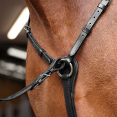 Breastplate with Martingale Rapida Black Breastplate with Martingale Rapida Black
