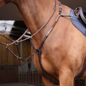 Breastplate with Martingale Rapida Brown Breastplate with Martingale Rapida Brown