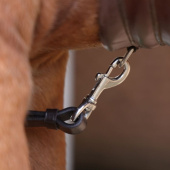 Breastplate with Martingale Rapida Brown Breastplate with Martingale Rapida Brown