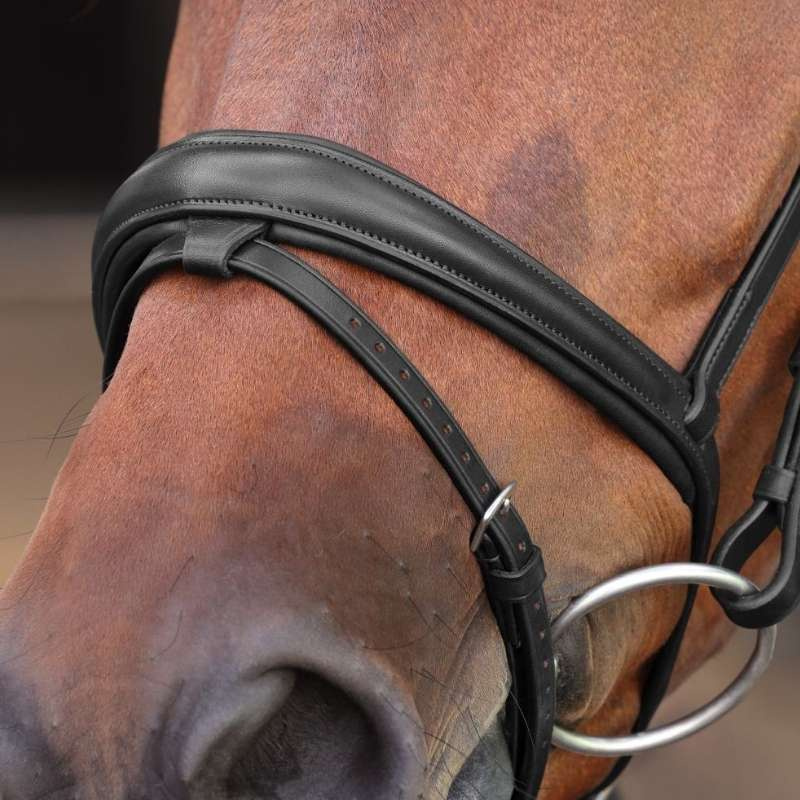 Bridle LUSSO Elite Black