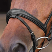Bridle LUSSO Elite Black Bridle LUSSO Elite Black