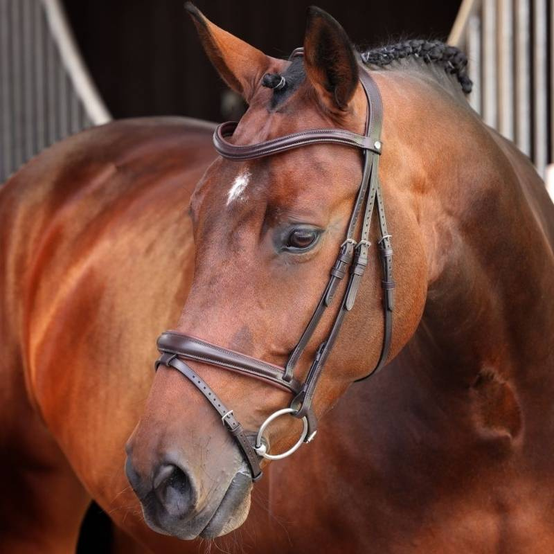 Bridle LUSSO Elite Brown